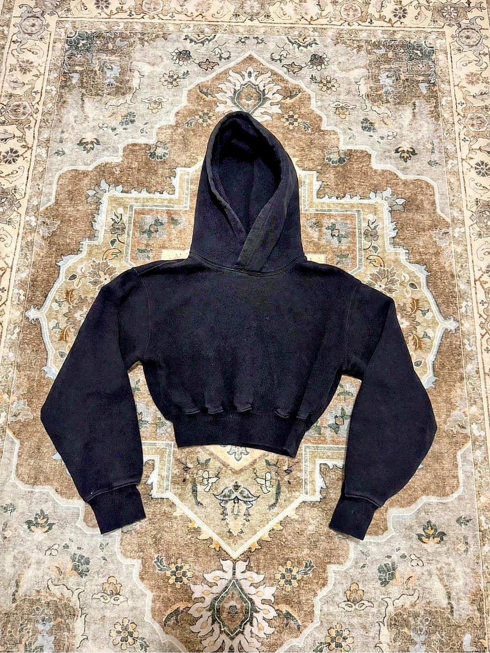 Aritzia Cozy Sweatfleece Perfect Hoodie Black (2XS)